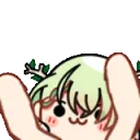 AFaunaNuma AFaunaNuma