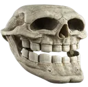 skulltroll
