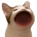 catblah Discord emoji