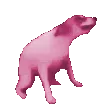 Niz_DogDance Niz_DogDance