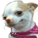 kya_be_lode Discord emoji