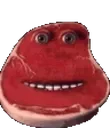 chum