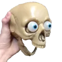 skullshock