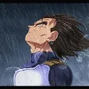vegeta