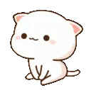 waitingCat