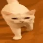 CIwidecat CIwidecat