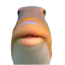 bruhfish