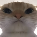 angrycat Discord emoji