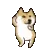 Doggy_dance