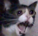 DM_nooo Discord emoji