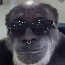 gCoolMonkey