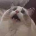 emoji_13