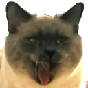 Titelloses_95_20220425101620