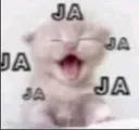 JAJAJAJAJA