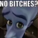 nobitches