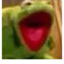 kermitscream