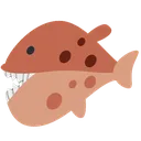blowfish_teeth2
