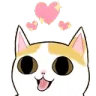 kittylove kittylove