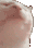 gato Discord emoji