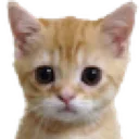 catkitty