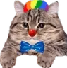 feraldruid feraldruid