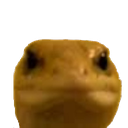 aa_geckostare Discord emoji