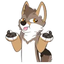 Coyoteshrug Coyoteshrug