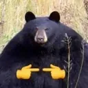uwubear uwubear