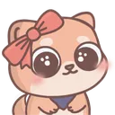 shiba_cute