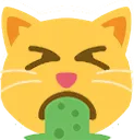 vomitcat
