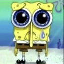 spongesad
