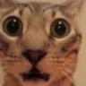 AUGH