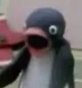 RWPinguShocked