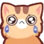 neko_crying
