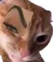catRock