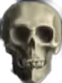 skull_emoji2