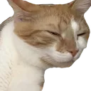 cheetoSmuggo cheetoSmuggo