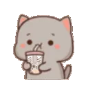 catbobadrink