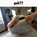 guh