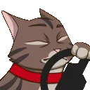 momoSPEED