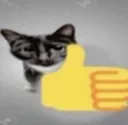 catto_thumbsup