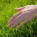 grass_touched grass_touched