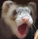 epiku_kijetesantakalu epiku_kijetesantakalu