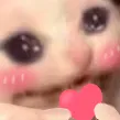 Blushiedrugslove