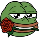 2497_pepe_rose
