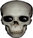 skull