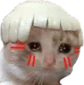 auroraSadCat