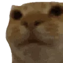 wat