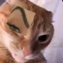 ur_sus