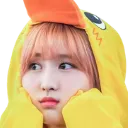 TwiceMomoCute